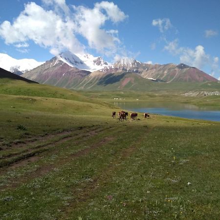 Pamir Nomad Yurt Camp Hotel Kara-Kavak Eksteriør billede