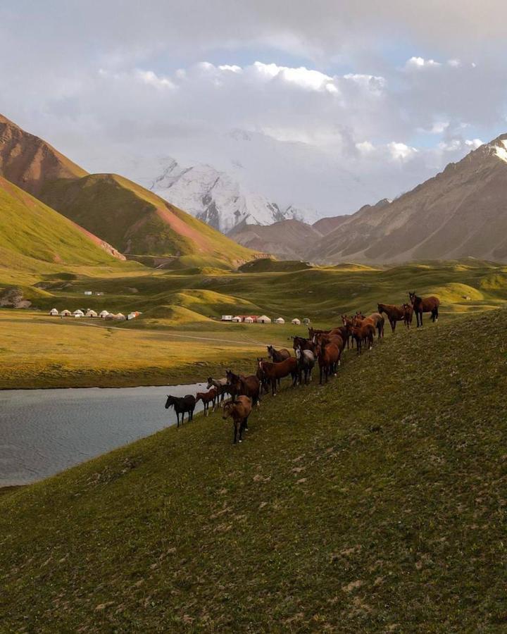 Pamir Nomad Yurt Camp Hotel Kara-Kavak Eksteriør billede
