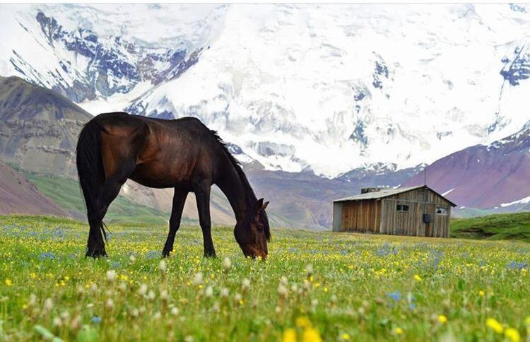 Pamir Nomad Yurt Camp Hotel Kara-Kavak Eksteriør billede